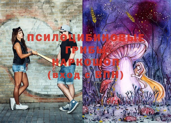 дмт Нея