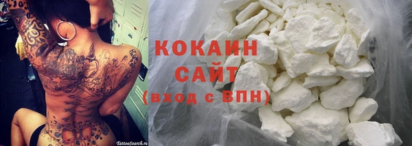 дмт Нея