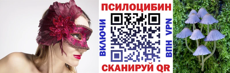 Галлюциногенные грибы Cubensis наркота Орск