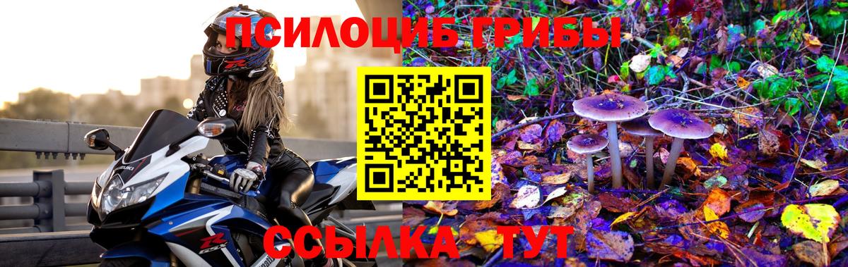 Псилоцибиновые грибы Psilocybine cubensis Орск
