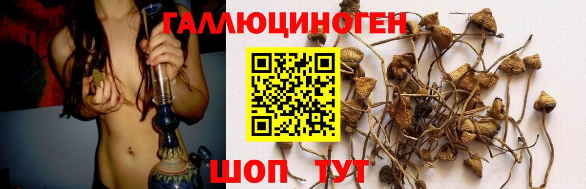 Галлюциногенные грибы Magic Shrooms Орск